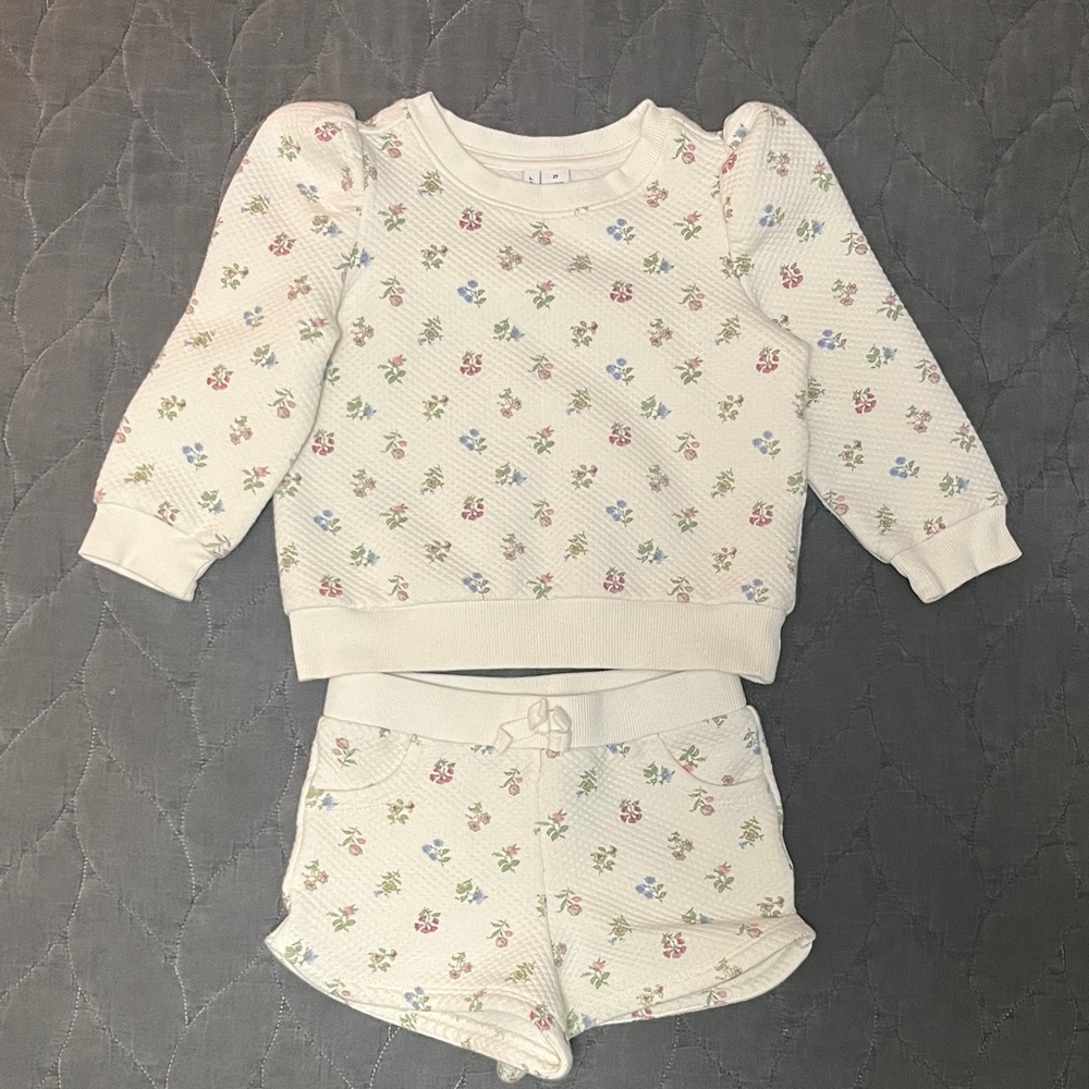 Janie and Jack Floral Sweat Set